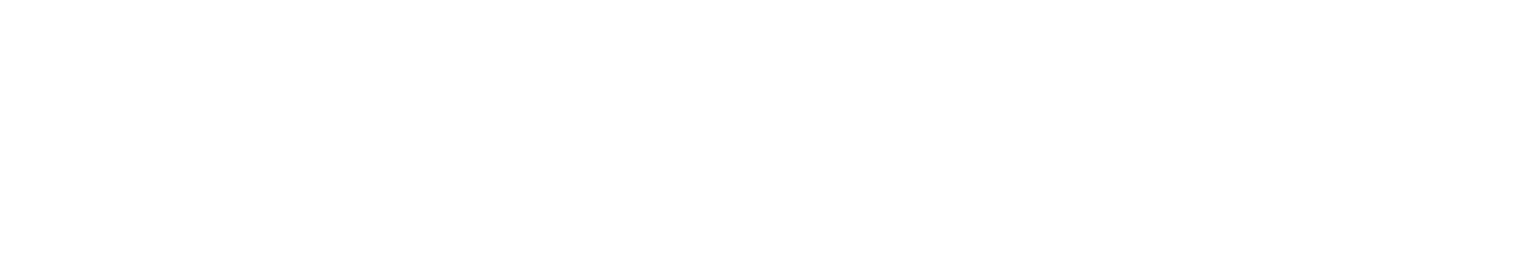FFT footer logo white